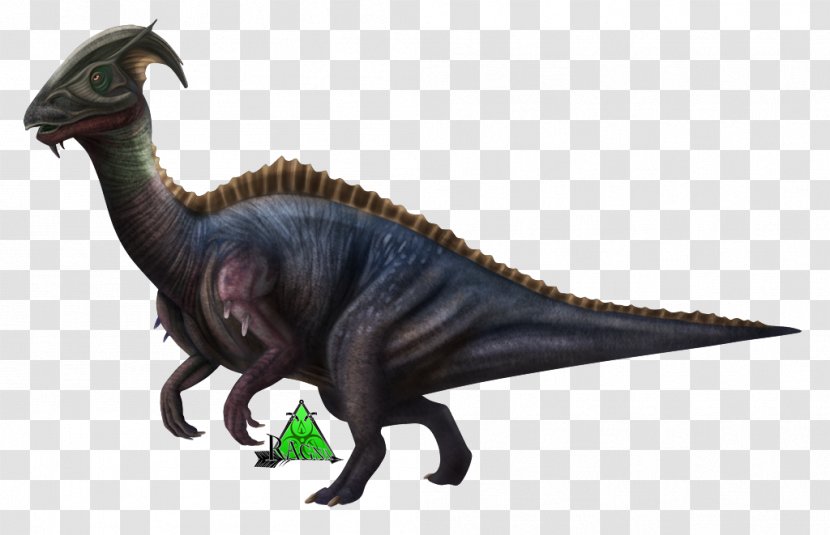 Tyrannosaurus Velociraptor Extinction Terrestrial Animal - Parasaurolophini Transparent PNG