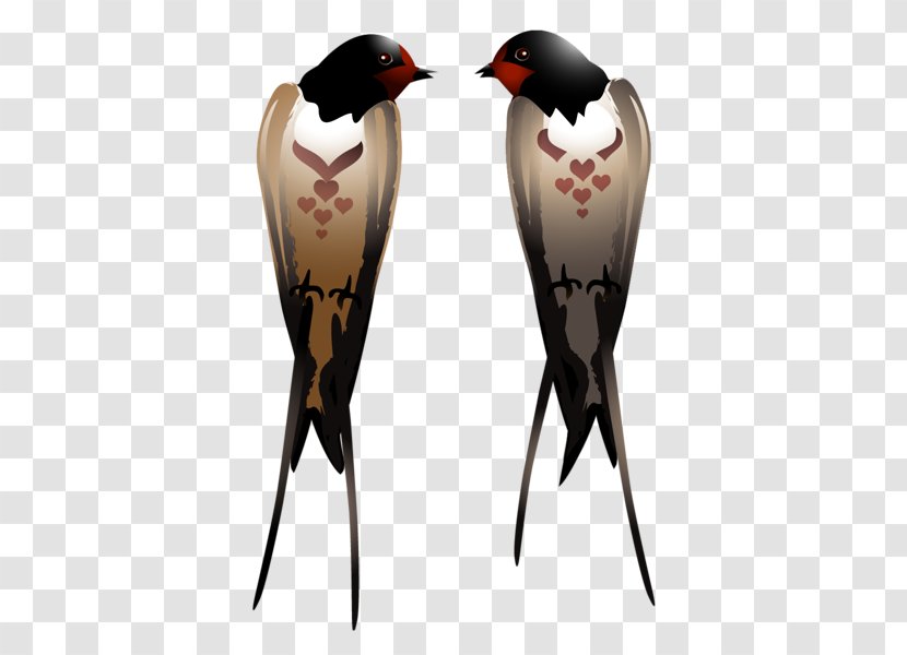 Swallow Clip Art - Photography - Roselle Transparent PNG