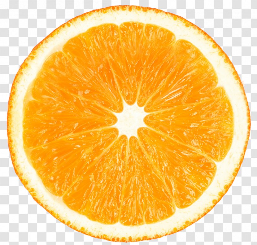 Blood Orange Lemon Clementine Tangelo Sangria - Ingredient Transparent PNG