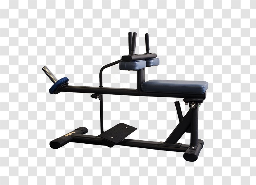 Gymaster Store Weightlifting Machine TigerSport Product Sports - Ho Chi Minh City Transparent PNG