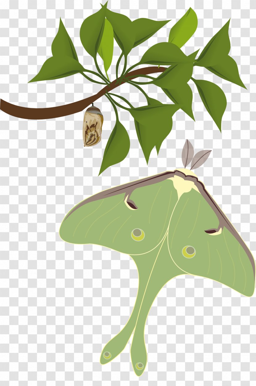 Butterfly Insect Clip Art - Fictional Character Transparent PNG