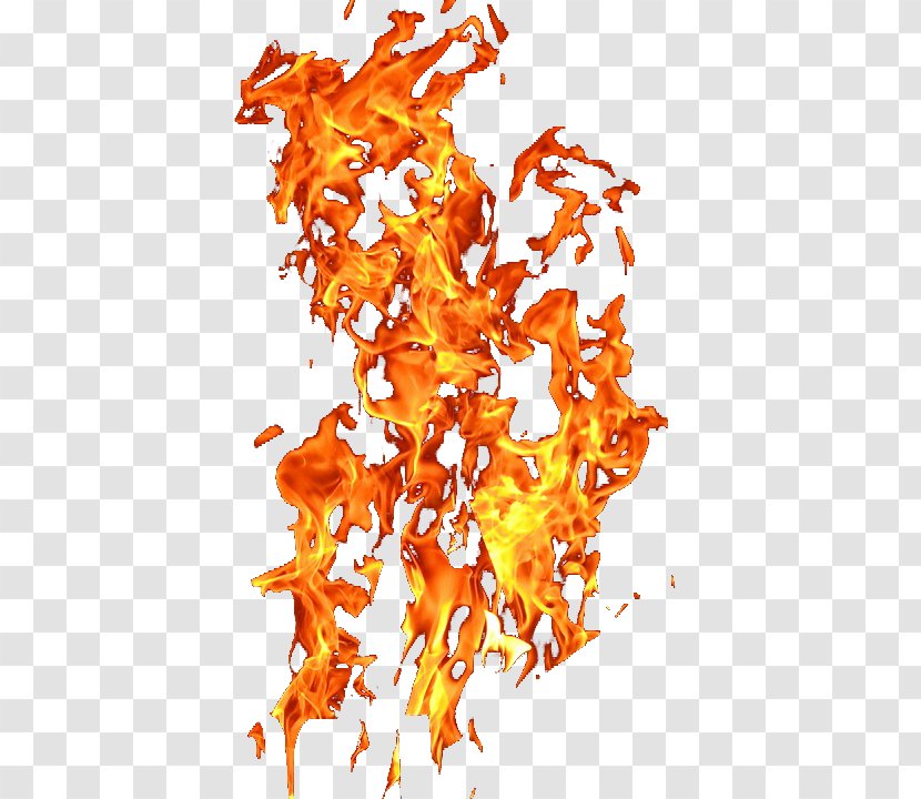 Light Flame Combustion Fire Transparent PNG