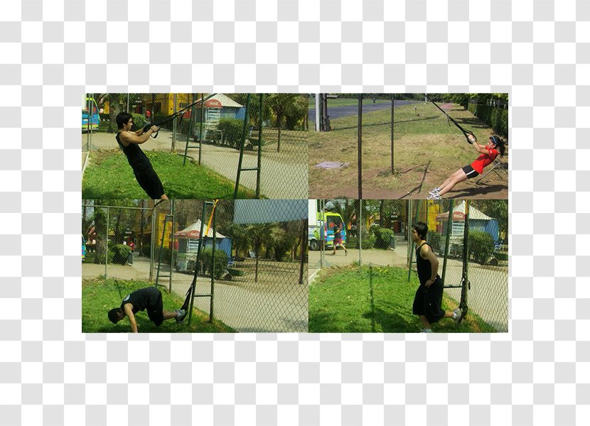 Playground Leisure Swing Google Play - Public Space - TRX Transparent PNG