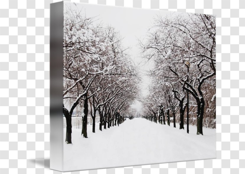 Gallery Wrap Winter Canvas Art Road Transparent PNG