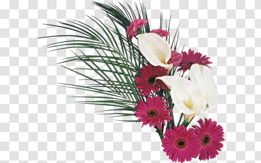 Birthday Flower Christmas - Flowerpot - Chrysanthemum Flowers Pull Material Free Transparent PNG