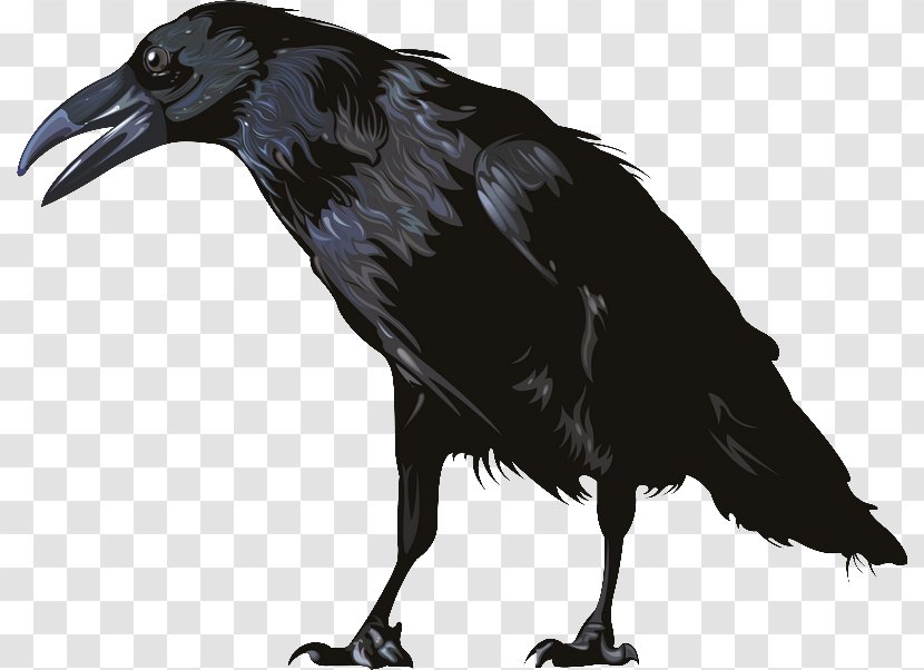 American Crow Graphics Software - The Transparent PNG