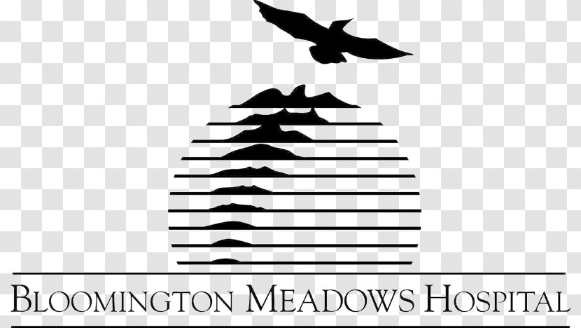 Bloomington Meadows Hospital Mental Health Care Psychiatric - Wing - Lexus Logo Transparent PNG
