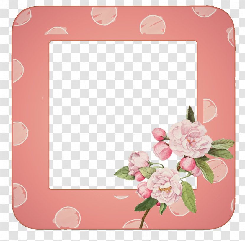 Garden Roses Floral Design Picture Frames - Frame Transparent PNG