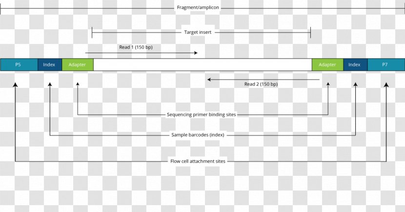 Screenshot Web Page Analytics - Brand - Design Transparent PNG