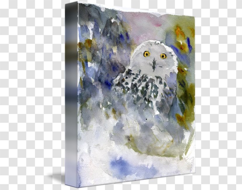 Owl Watercolor Painting Gallery Wrap Canvas - Blanket Transparent PNG