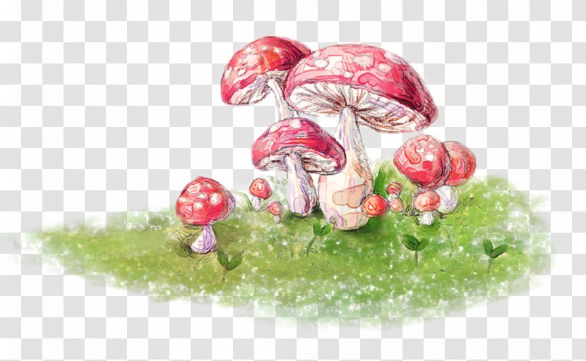 Mushroom Fungus Euclidean Vector - Pictures Transparent PNG