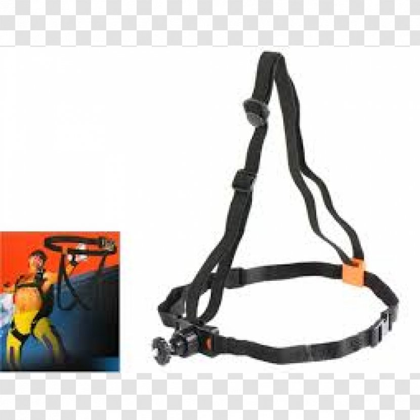Leash Climbing Harnesses Belt Strap Safety Harness - Extreme Sports Transparent PNG