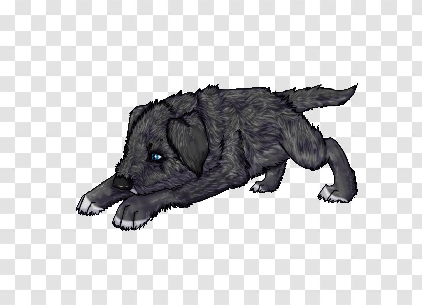Dog Breed Snout Fur - Wolfhound Transparent PNG