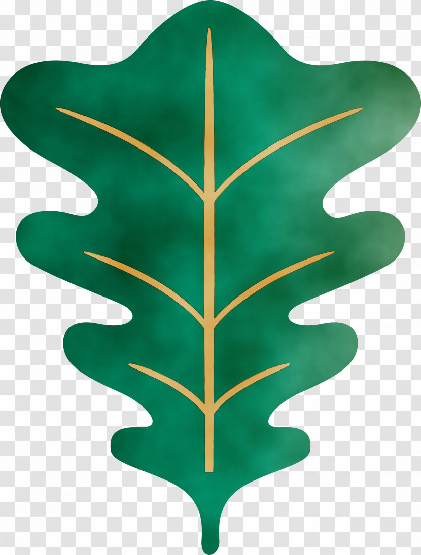 Leaf Tree Green Plants Biology Transparent PNG