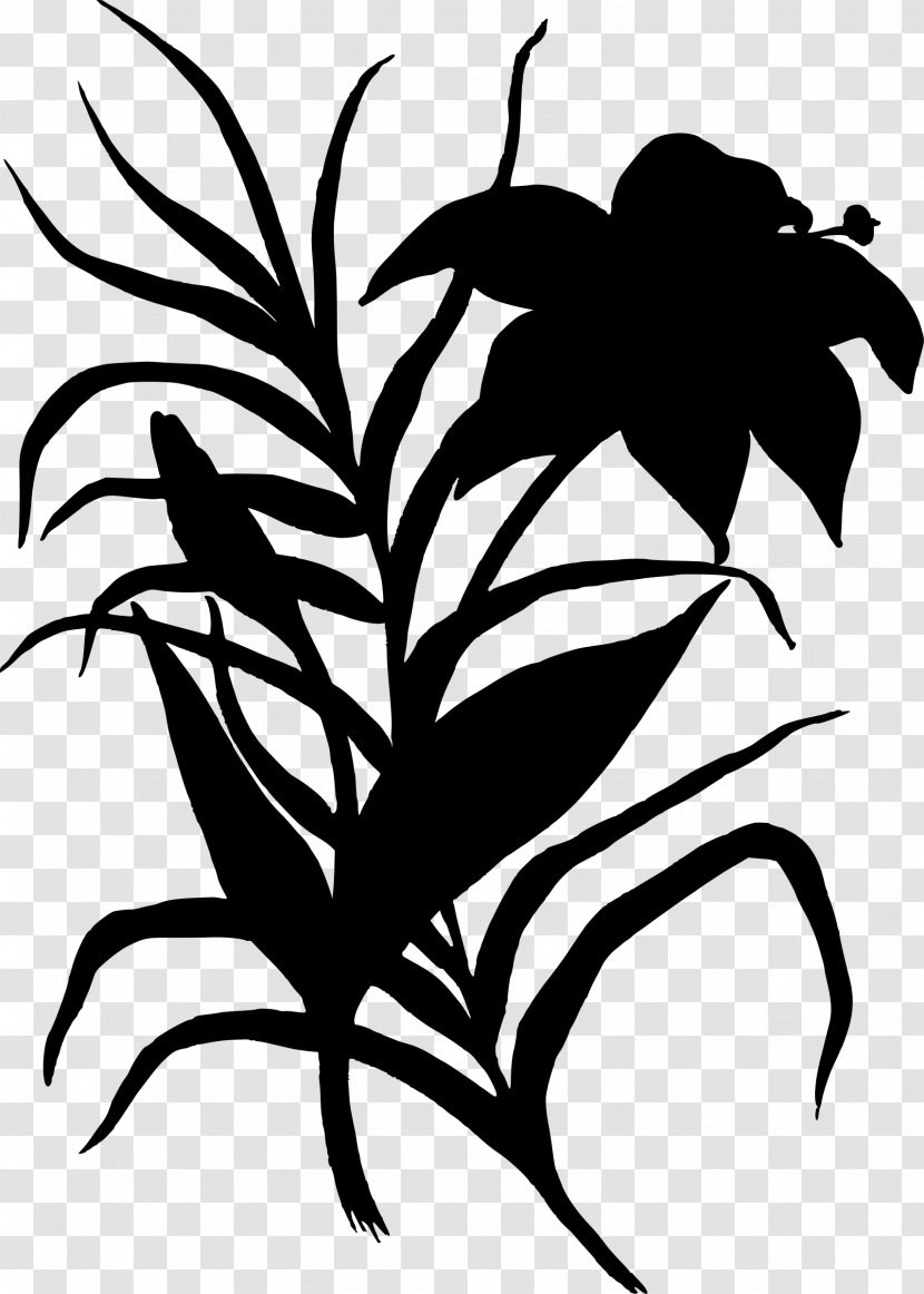 Drawing Silhouette Flower Clip Art - Black And White - Flower-and-bird Transparent PNG