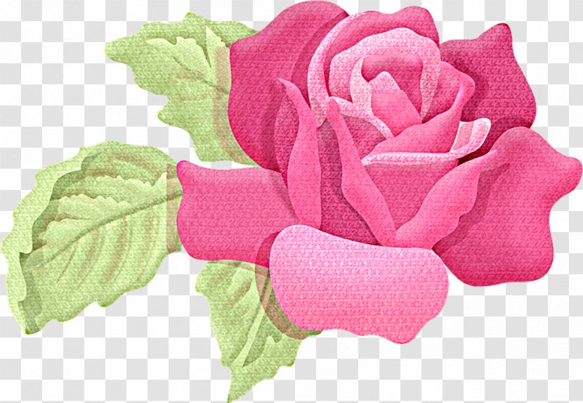 Garden Roses Drawing Clip Art - Rgb Color Model - Rose Transparent PNG