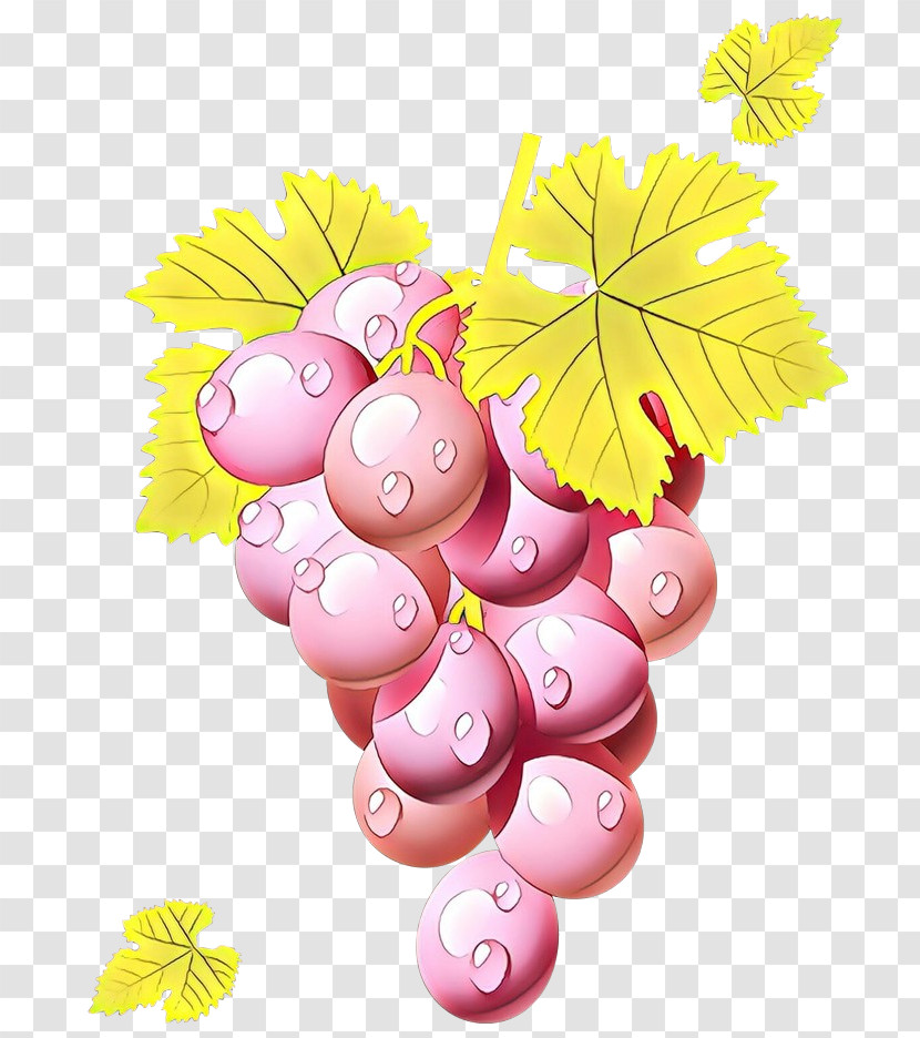 Grape Grapevine Family Leaf Vitis Plant Transparent PNG