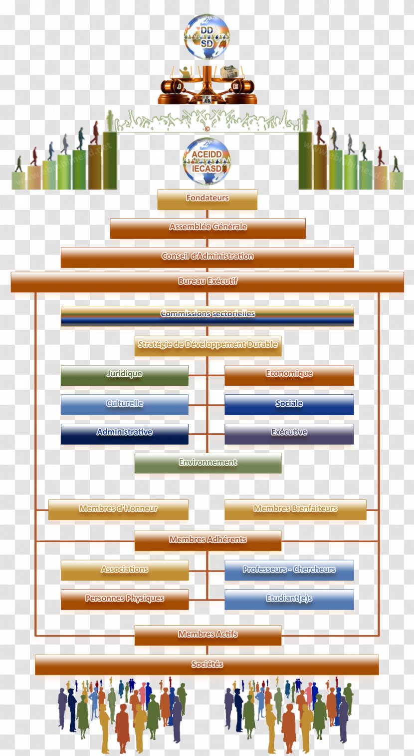 Organizational Chart Voluntary Association Sustainable Development Modell - Diagram - Durable Transparent PNG
