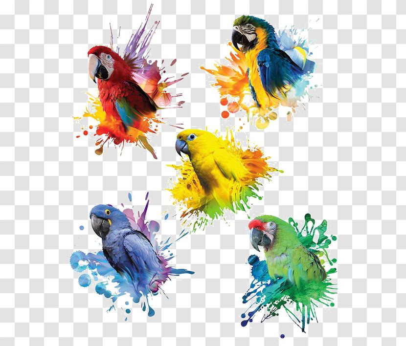 Parrot Blue-and-yellow Macaw Red-and-green Great Green - Decoration Transparent PNG