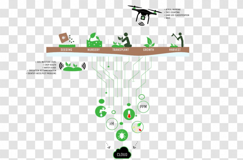 Product Design Line Angle - Diagram - Agriculture Nutrient Cycle Transparent PNG