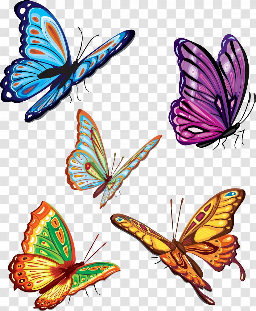Butterfly Clip Art - Invertebrate - Papillon Transparent PNG