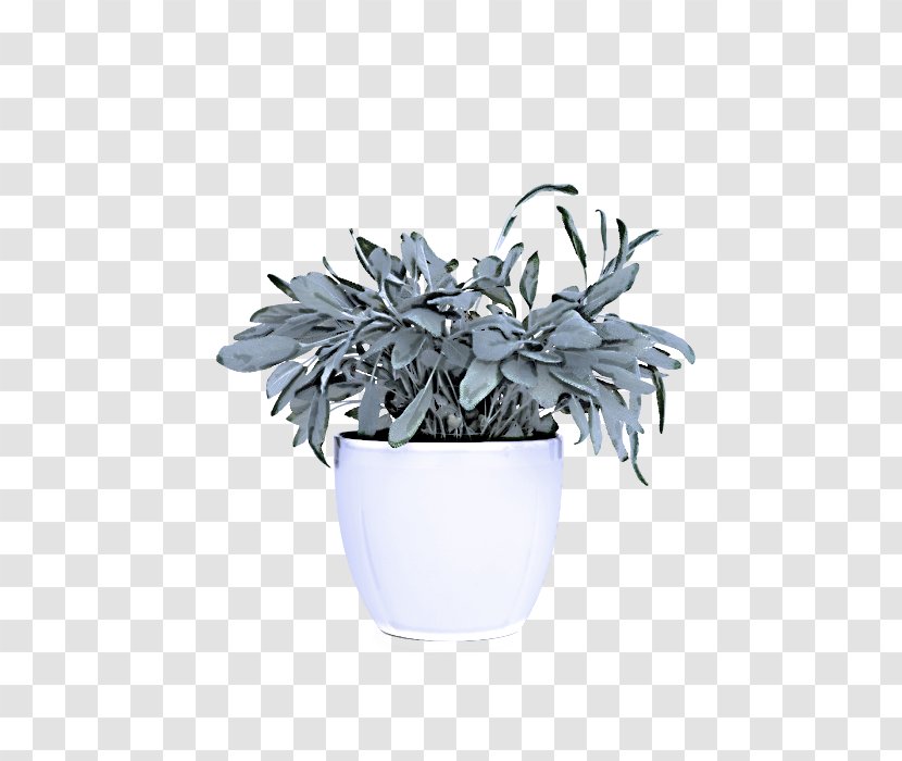 White Flowerpot Echeveria Flower Plant - Perennial - Metal Transparent PNG