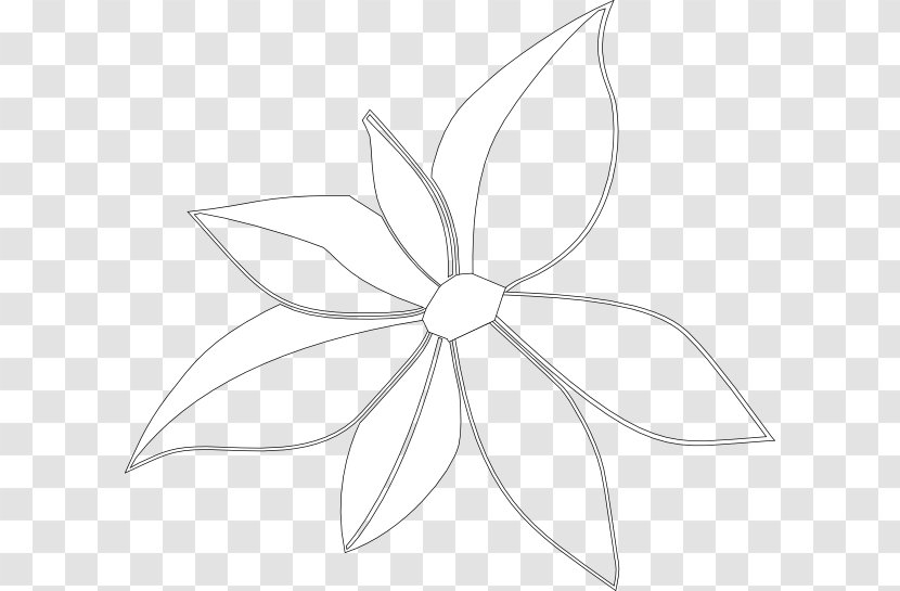 Drawing Line Art Clip - Petal - Hawaii Flower Transparent PNG