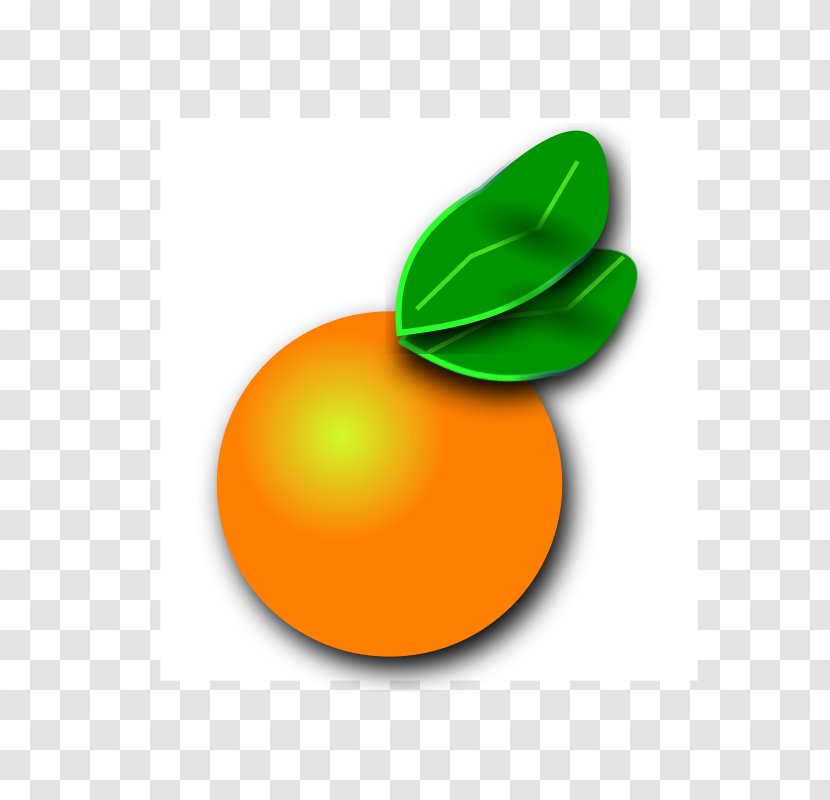 Orange County, Florida Citrus Clip Art Transparent PNG