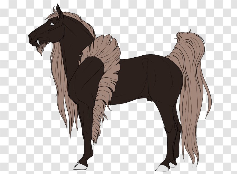 Foal Mane Mustang Mare Stallion - Neck Transparent PNG
