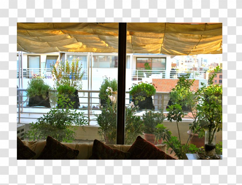 Window Tree Shade Roof Interior Design Services - Plant Transparent PNG