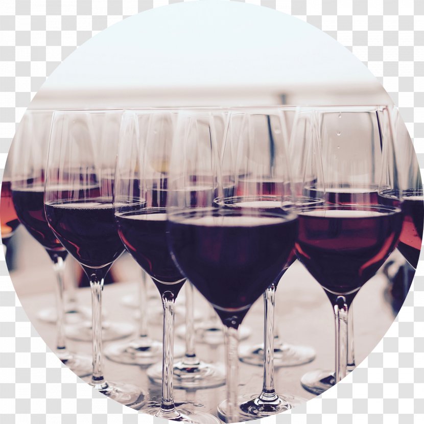 Winery Beer Champagne Wine Tasting - Drink Transparent PNG
