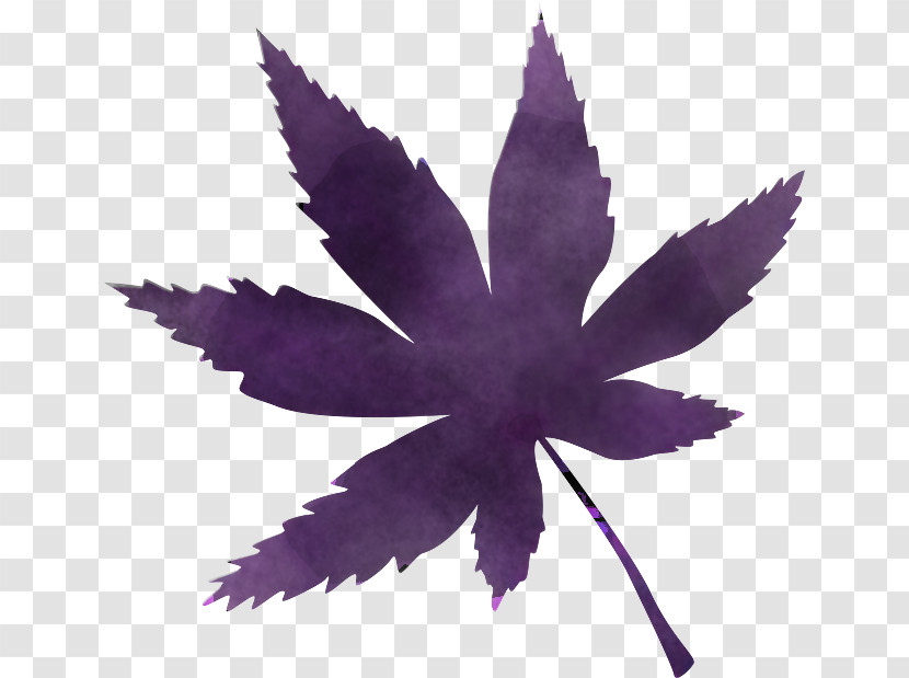 Leaf Purple Violet Plant Hemp Family Transparent PNG