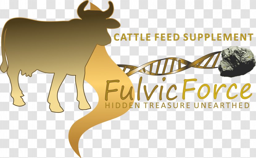 Cattle Feeding Fulvic Acid Humic Horn - Carnivoran - Feed Transparent PNG