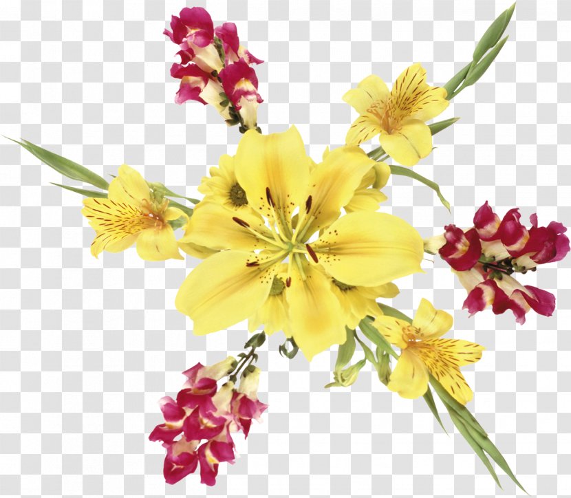 Flower Bouquet Birthday Gift Cut Flowers - Annual Plant Transparent PNG