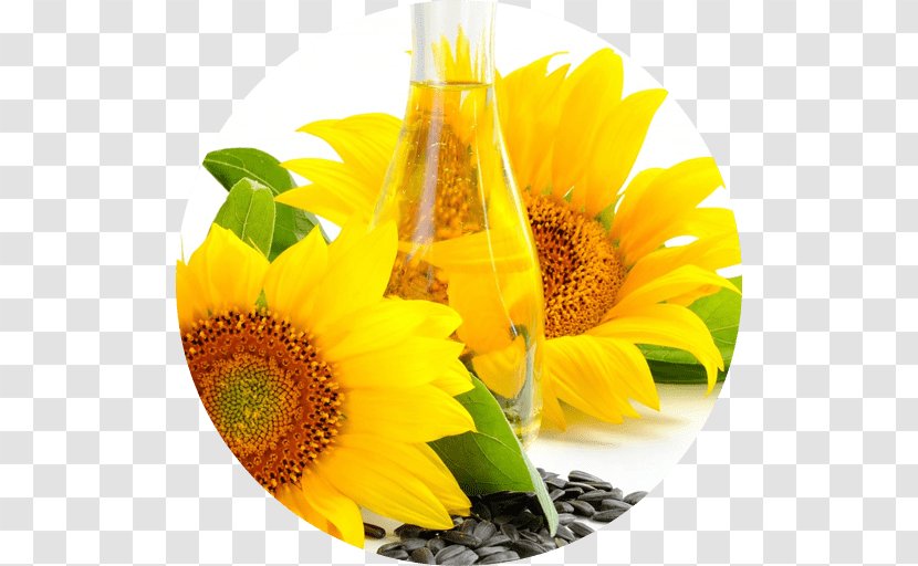 Sunflower Oil Linseed Vegetable Transparent PNG