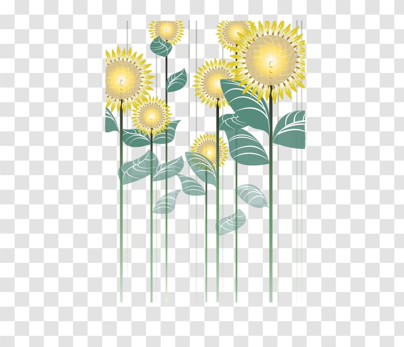 Common Sunflower Cut Flowers Floral Design - Leaf Transparent PNG