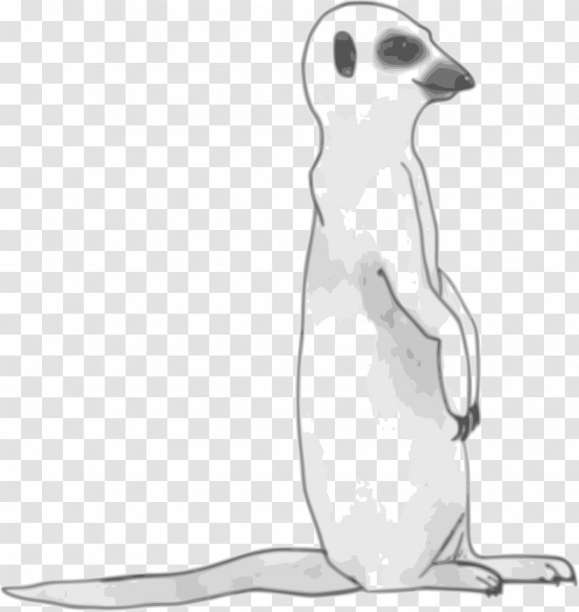 Meerkat Clip Art - Black And White Transparent PNG