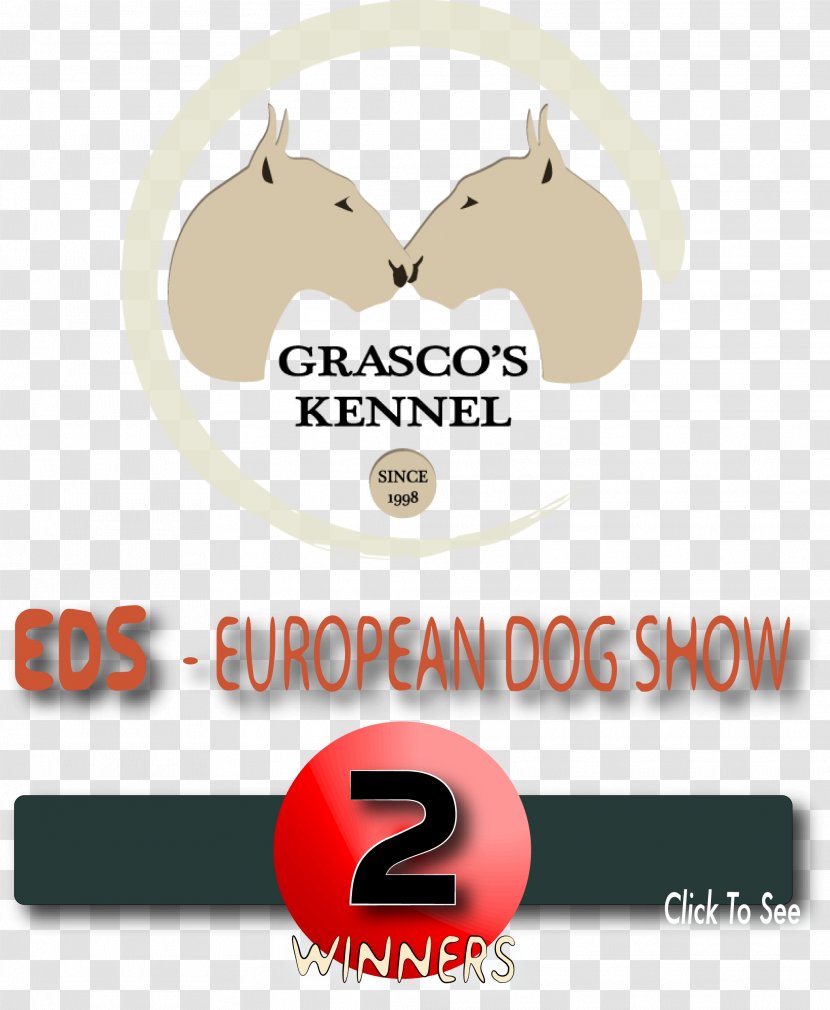 Miniature Bull Terrier World Dog Show Conformation European - Norfolk Transparent PNG