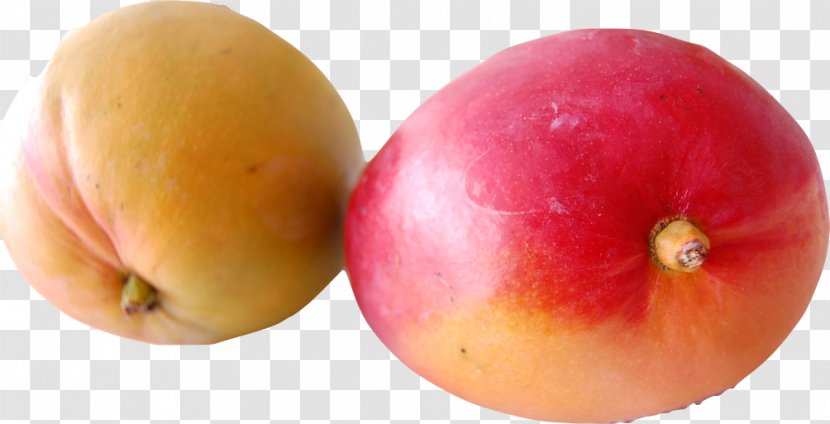 Irvingia Gabonensis Superfood Health Diet Food - African Mango Transparent PNG