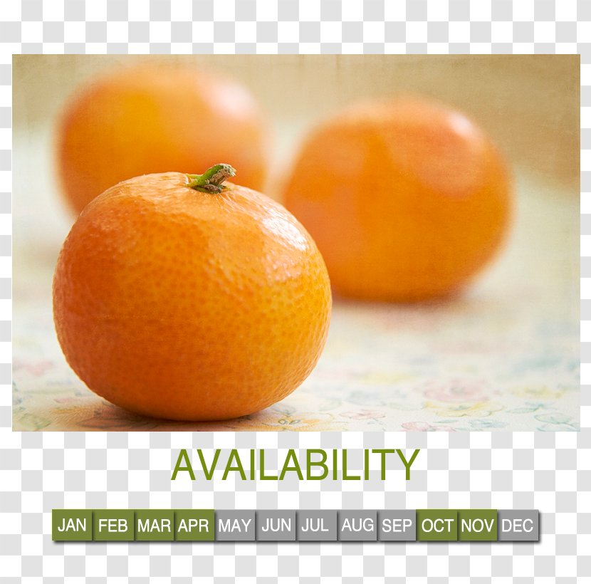 Tangerine Fruit Mandarin Orange Food Mango - Tangelo - Wholesale Market Transparent PNG