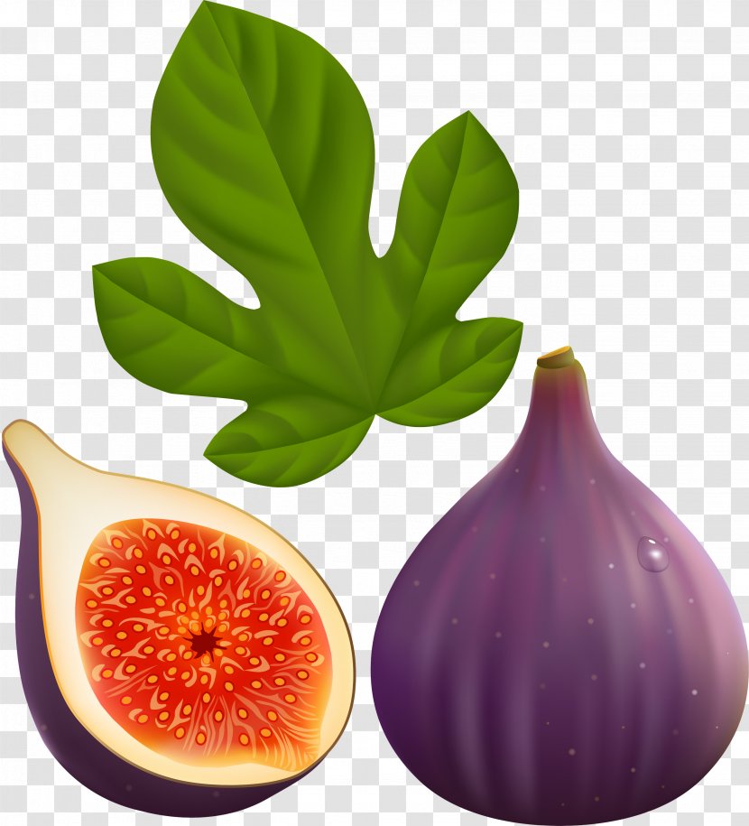 Common Fig Leaf Fruit Plant Natural Foods - Vegetarian Food Flower Transparent PNG
