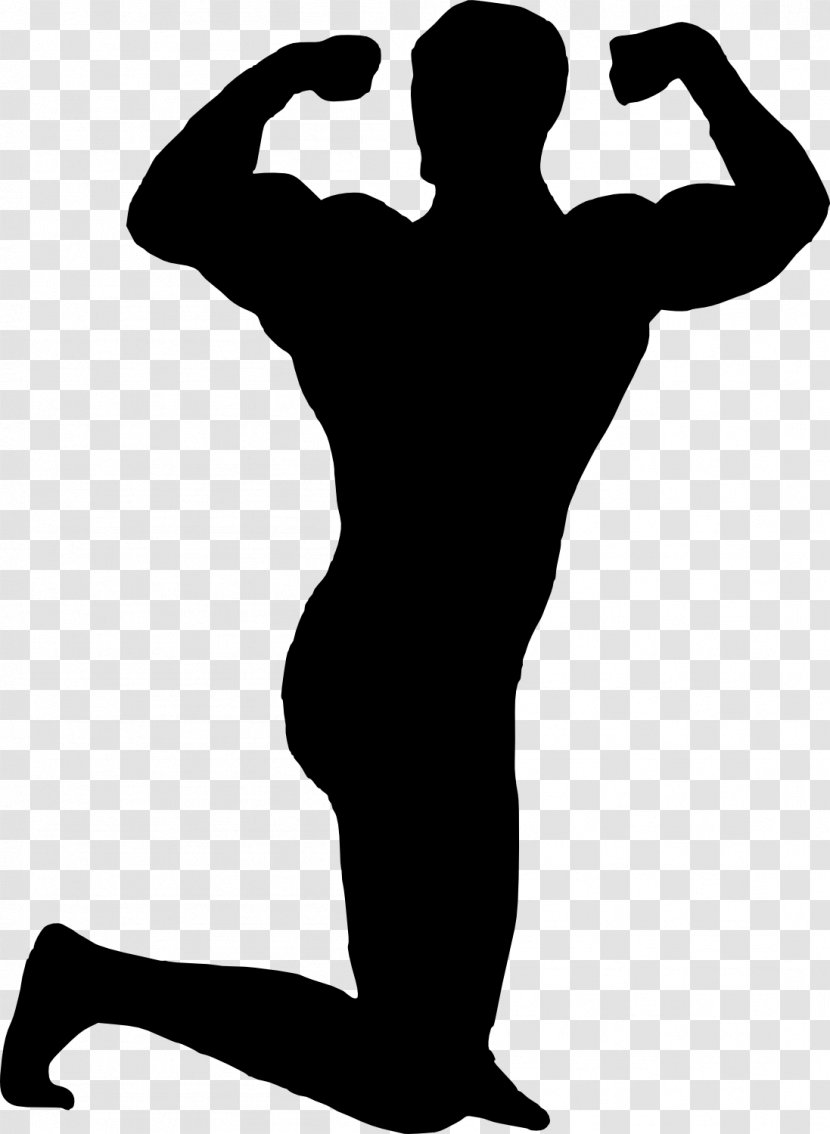 Drawing Photography Clip Art - Bodybuilding Transparent PNG