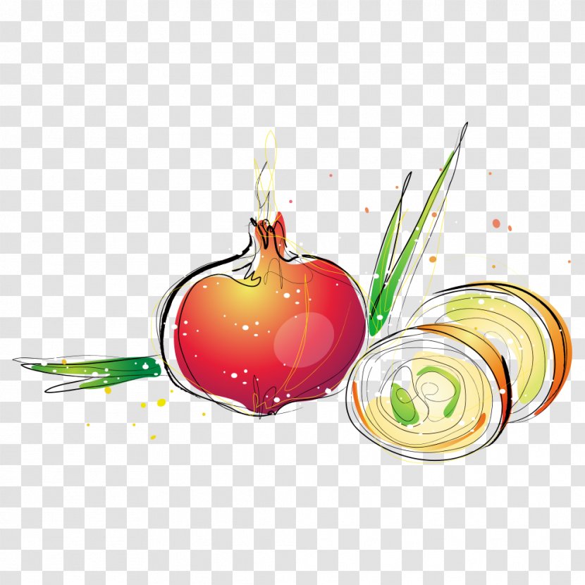 Apple Onion Illustration Transparent PNG