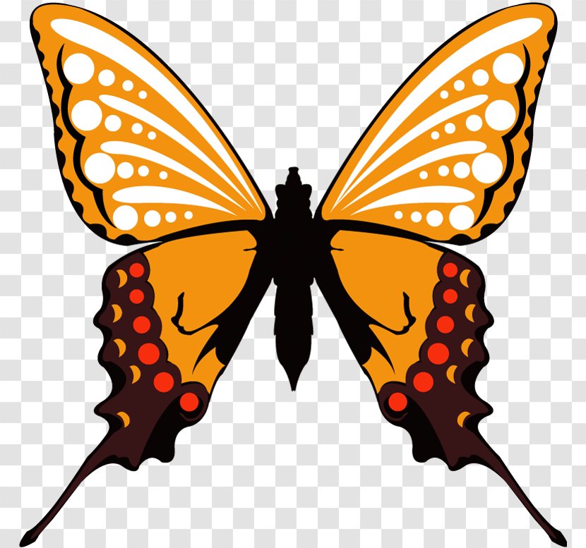 Butterfly Graphic Design - Coreldraw - Vector Yellow Transparent PNG