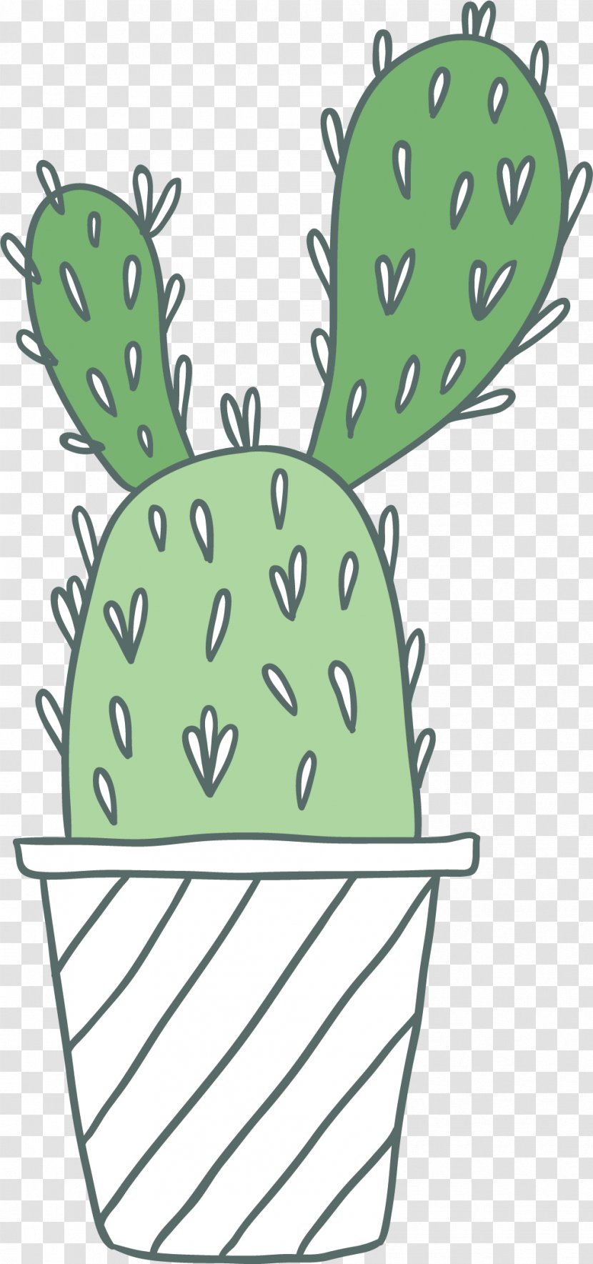 Cactaceae Clip Art - Photography - Vector Hand-painted Green Cactus Transparent PNG