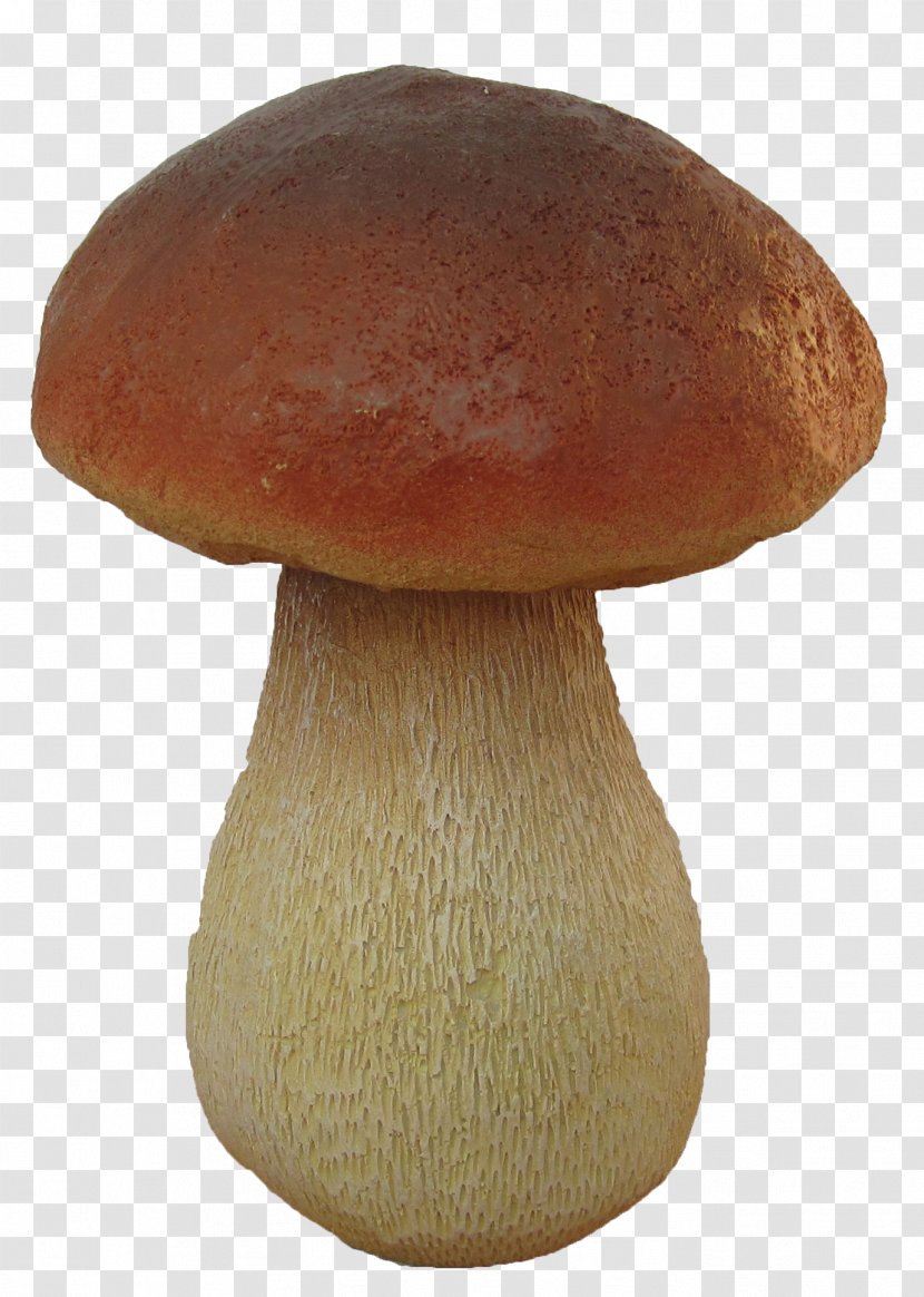 Pleurotus Eryngii Mushroom Boletus Edulis Fungus Amanita Transparent PNG