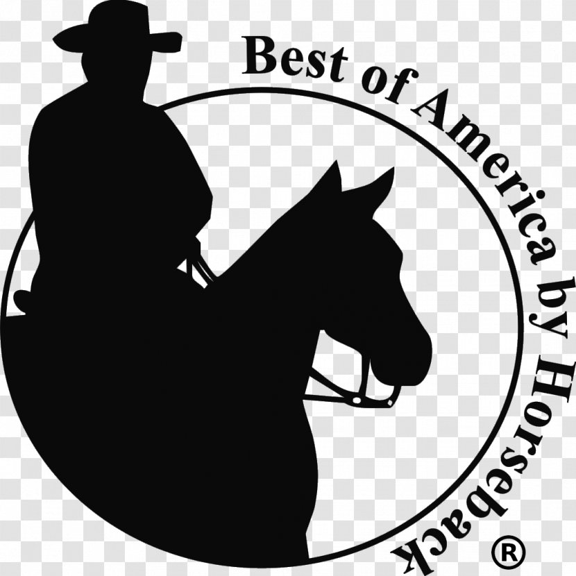 Arizona Tennessee Secretary Of State, Division Business Services U.S. State Governments The United States - Horse Supplies - Trail Ride Cliparts Transparent PNG