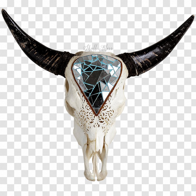 Texas Longhorn English Animal Skulls Transparent PNG
