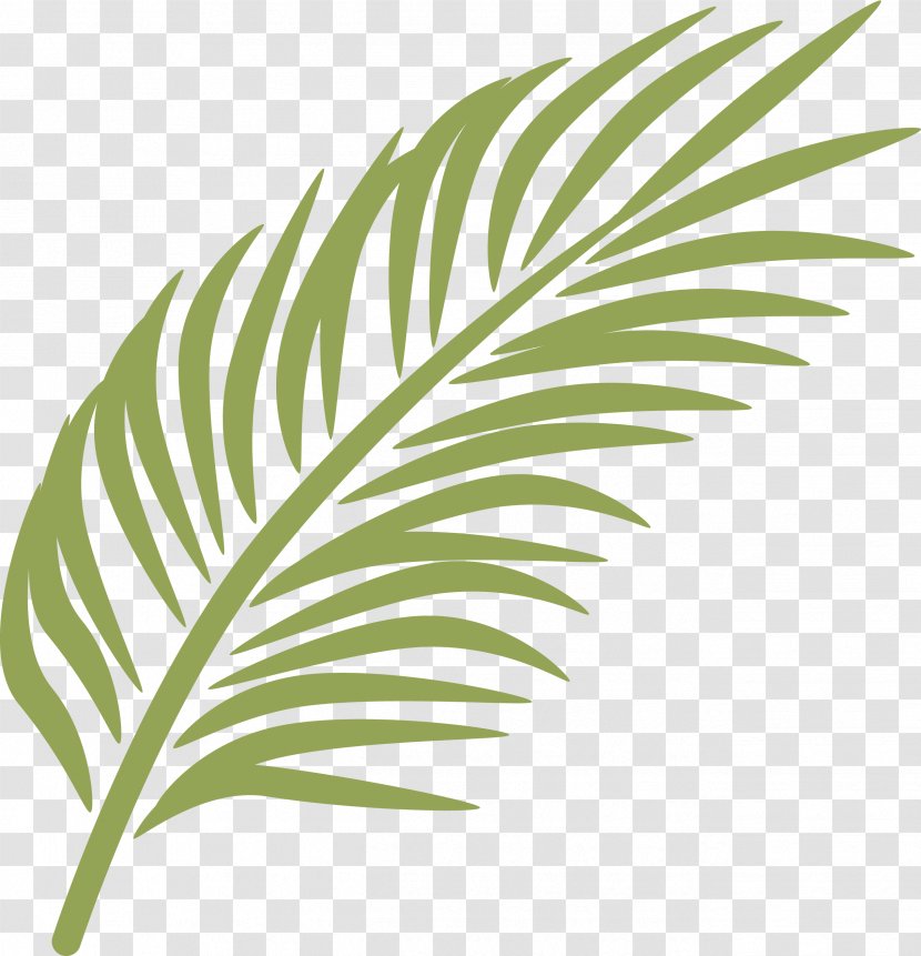 Palm Branch Sunday Arecaceae Clip Art - Arecales - Banana Leaf Transparent PNG