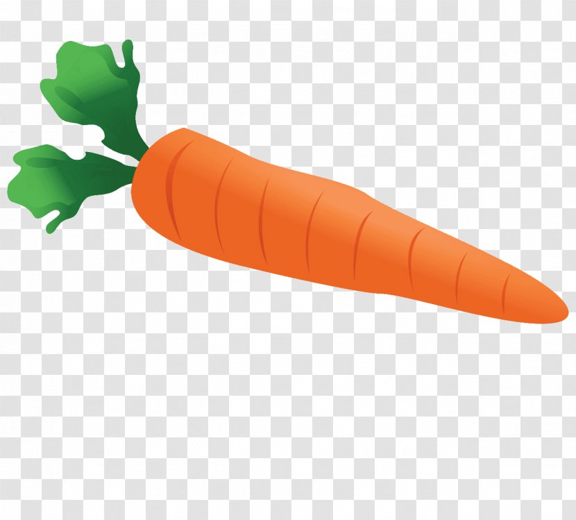 Carrot Cake Vegetable Clip Art - Arracacia Xanthorrhiza - Watercolor Vegetables Transparent PNG